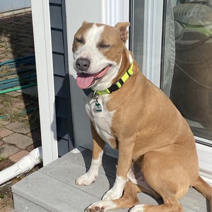 Fundraising Page: Beth Curran